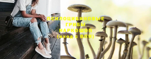 дмт Дмитриев