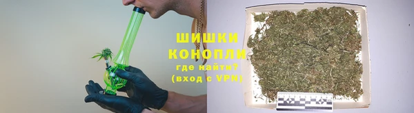 дмт Дмитриев