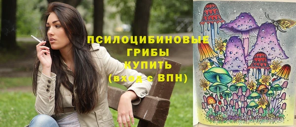 таблы Дмитров