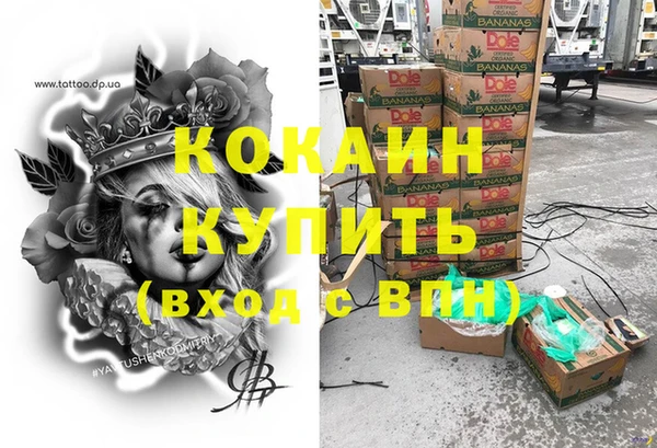дмт Дмитриев