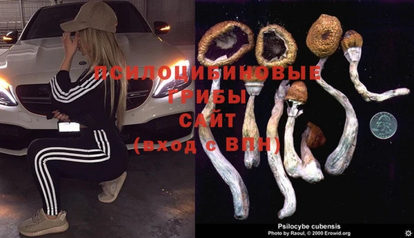 таблы Дмитров