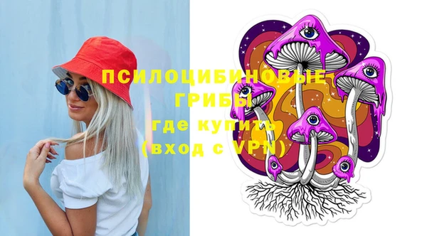 spice Дмитровск