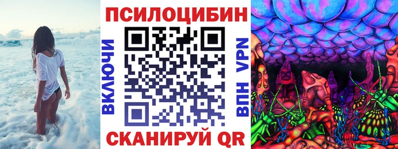 Галлюциногенные грибы Psilocybine cubensis  МЕГА ссылки  Ростов  продажа наркотиков 